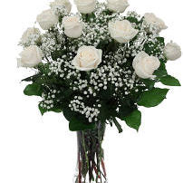 Elegancia de rosas