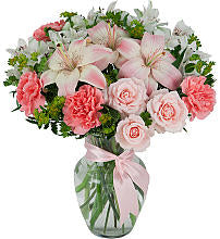 DELICADEZA EN ROSA