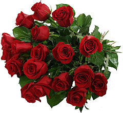 BOUQUET 18 ROSAS