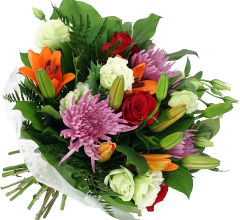 ALEGRIA FLORAL
