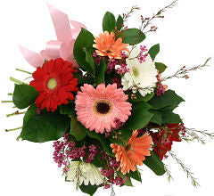FIESTA DE GERBERAS